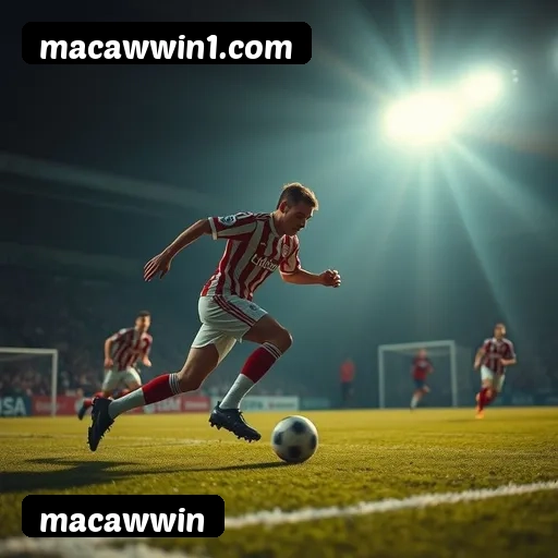 Requisitos do APK da macawwin para Android