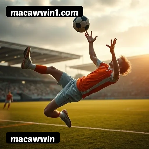 Grandes vencedores macawwin de São Paulo, Rio de Janeiro, Belo Horizonte - Saques PIX confirmados